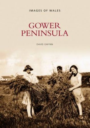 Gower Peninsula by DAVID GWYNN