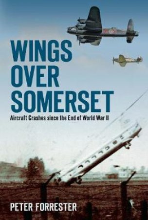 Wings Over Somerset by Peter Forrester
