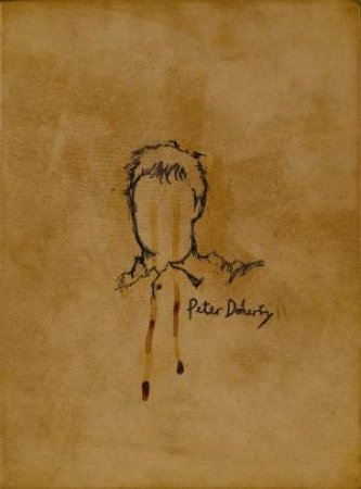 Books of Albion by Peter Doherty