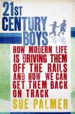 21st Century Boys How Modern Life is Driving Them Off the Rails