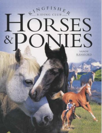 Kingfisher Riding Club: Horses And Ponies by Sandy Ransford
