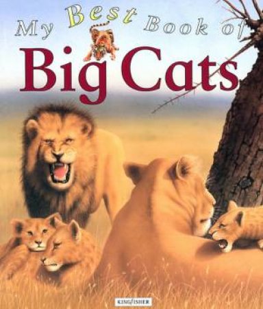 My Best Book Of Big Cats by Christiane Gunzi