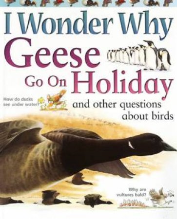 I Wonder Why Geese Go On Holiday And Other Questions About Birds by Amanda O'Neill