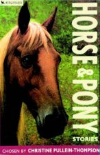 Kingfisher Horse  Pony Stories