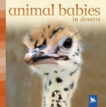 Animal Babies In Deserts by Sue Nicholson