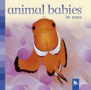 Animal Babies In Seas by Sue Nicholson