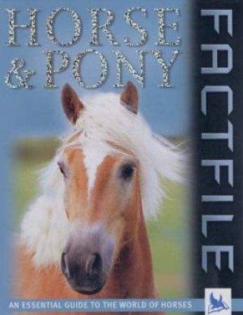 Horse And Pony Factfile by Sandy Ransford