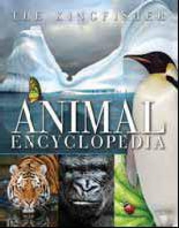 Kingfisher Animal Encyclopedia by David Burnie