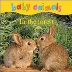 Baby Animals: In The Forest by None