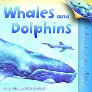 Flip the Flaps Whales and Dolphins by Judy Allen