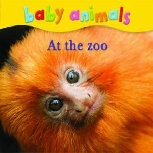 Baby Animals: At the Zoo by Various