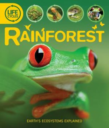 Life Cycles: Rainforest by Sean Callery