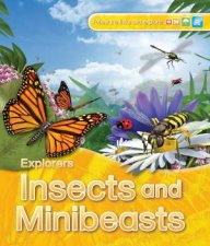 Explorers Insects and Minibeasts