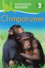 Chimpanzees