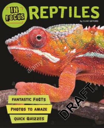 In Focus: Reptiles by Barbara Taylor