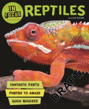 In Focus Reptiles