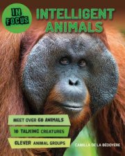 In Focus Intelligent Animals