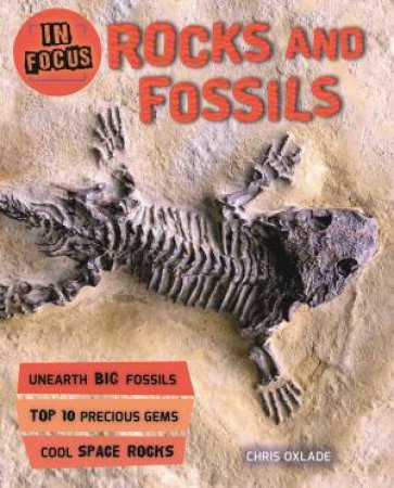 In Focus: Rocks And Fossils by Chris Oxlade