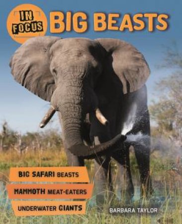 In Focus: Big Beasts by Barbara Taylor