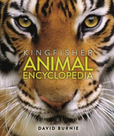 Kingfisher Animal Encyclopedia by David Burnie