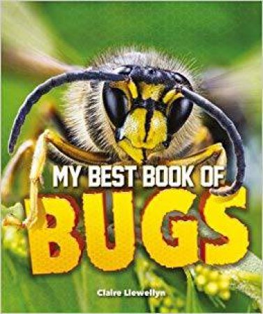 My Best Book Of Bugs by Claire Llewellyn