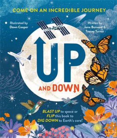 Up and Down by Tracey Turner & Dawn Cooper & Jane Burnard