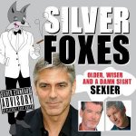 Silver Foxes Older Wiser and a Damn Sight Sexier