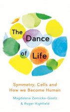 The Dance of Life Symmetry Cells and How We Become Human