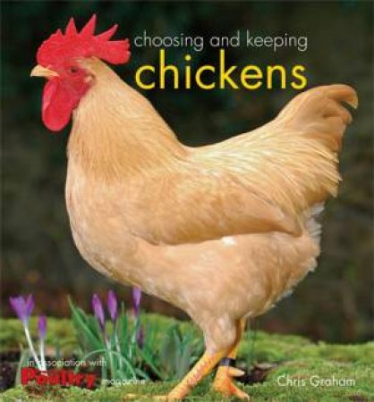 Choosing And Keeping Chickens by Chris Graham