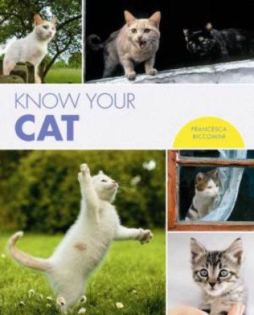 Know Your Cat by Francesca Riccomini