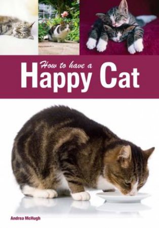 How to have a Happy Cat by Andrea McHugh