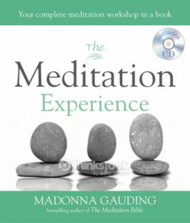 The Meditation Experience by Madonna Gauding