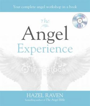 The Angel Experience by Hazel Raven