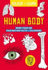 Colour And Learn Human Body