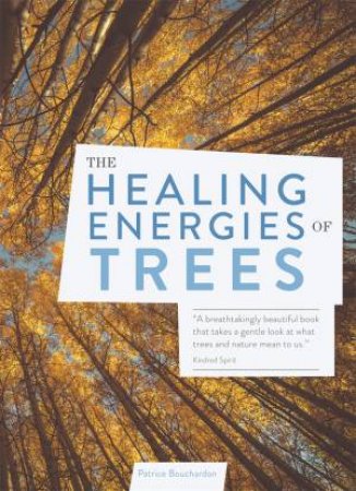 The Healing Energy Of Trees by Patrice Bouchardon