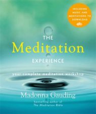 The Meditation Experience
