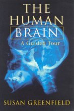 The Human Brain A Guided Tour