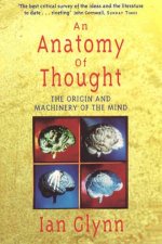 An Anatomy Of Thought