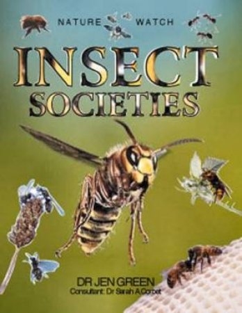Nature Watch: Insect Societies by Dr Jen Green