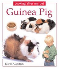 Looking After My Pet Guinea Pig