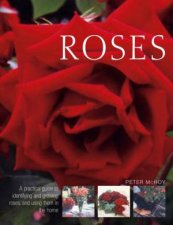 Roses A Practical Guide