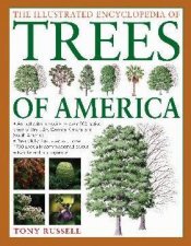 The Illustrated Encyclopedia Of Tress Of America