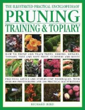 Pruning Training  Topiary