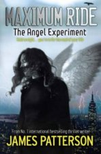 The Angel Experiment