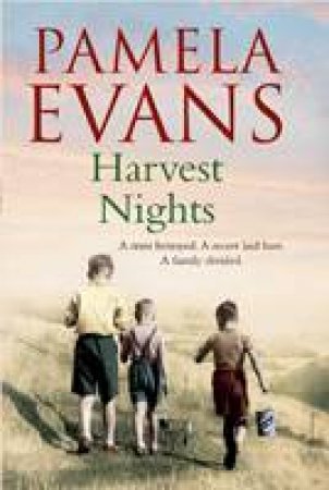 Harvest Nights by Pamela Evans