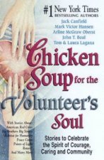Chicken Soup For The Volunteers Soul