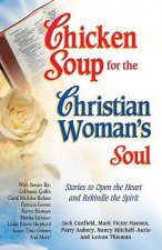 Chicken Soup For The Christian Womans Soul