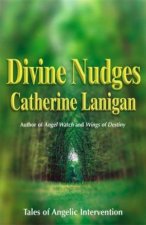 Divine Nudges Tales Of Angelic Intervention