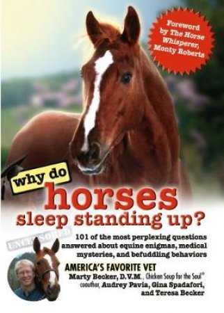 Why Do Horses Sleep Standing Up? by Marty Becker & Gina Spadafori