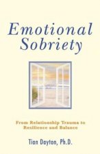 Emotional Sobriety From Relationship Trauma To Resilience And Balance